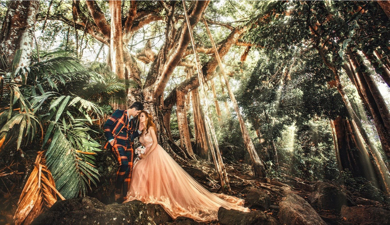 Cây Đa Ngàn Năm - Địa điểm chụp ảnh cưới đẹp ở Đà Nẵng